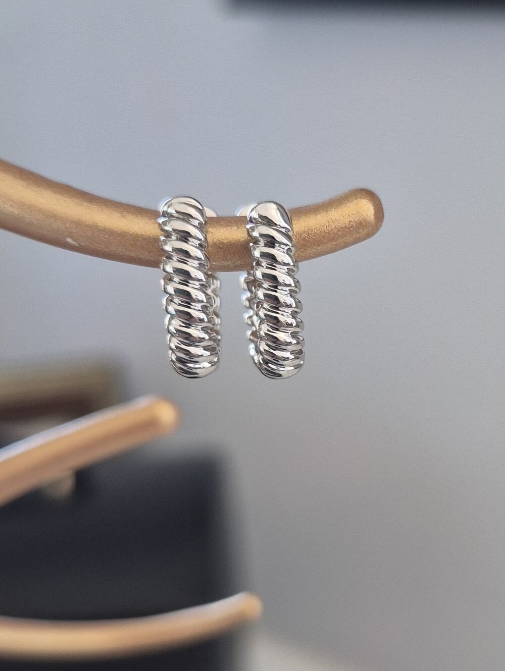 Classic Silver Textured Hoop Earrings - Women Jewelry